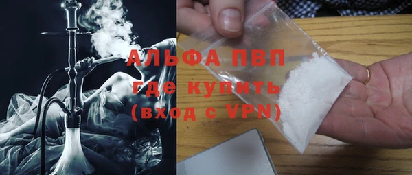 гашик Дмитров