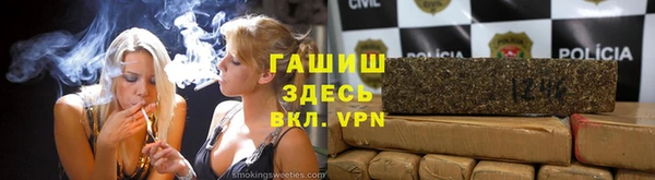 гашик Дмитров