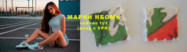 гашик Дмитров