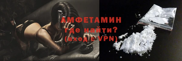 гашик Дмитров