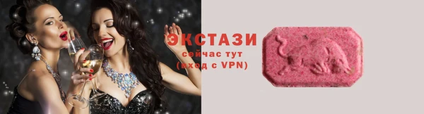 гашик Дмитров