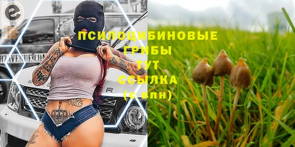 марки lsd Дмитриев