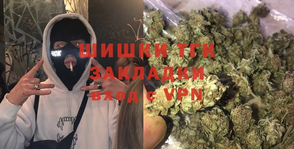 гашик Дмитров