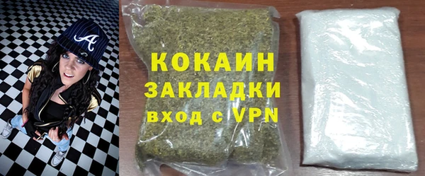 гашик Дмитров