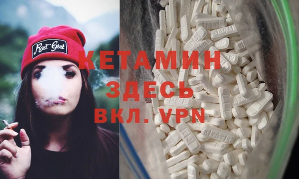 гашик Дмитров