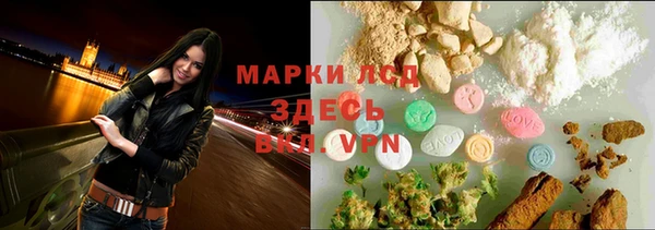 гашик Дмитров